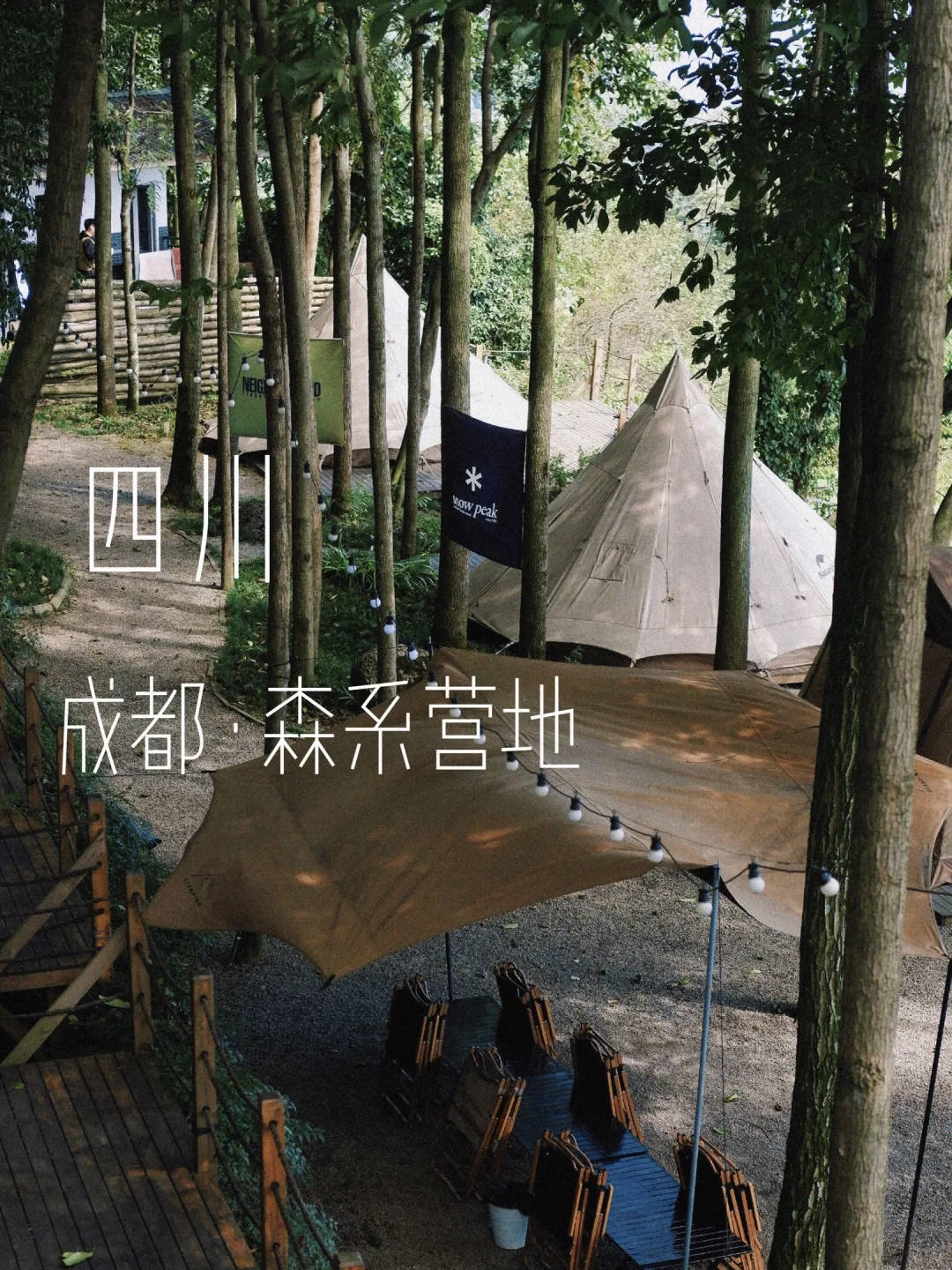 在成都！！住进森林治愈系帐篷营地🏕