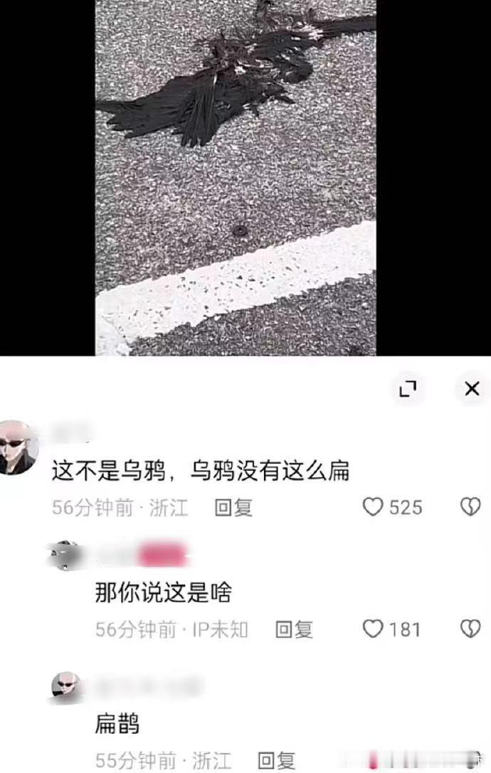 4835笑死我了哈哈哈哈 ​​​