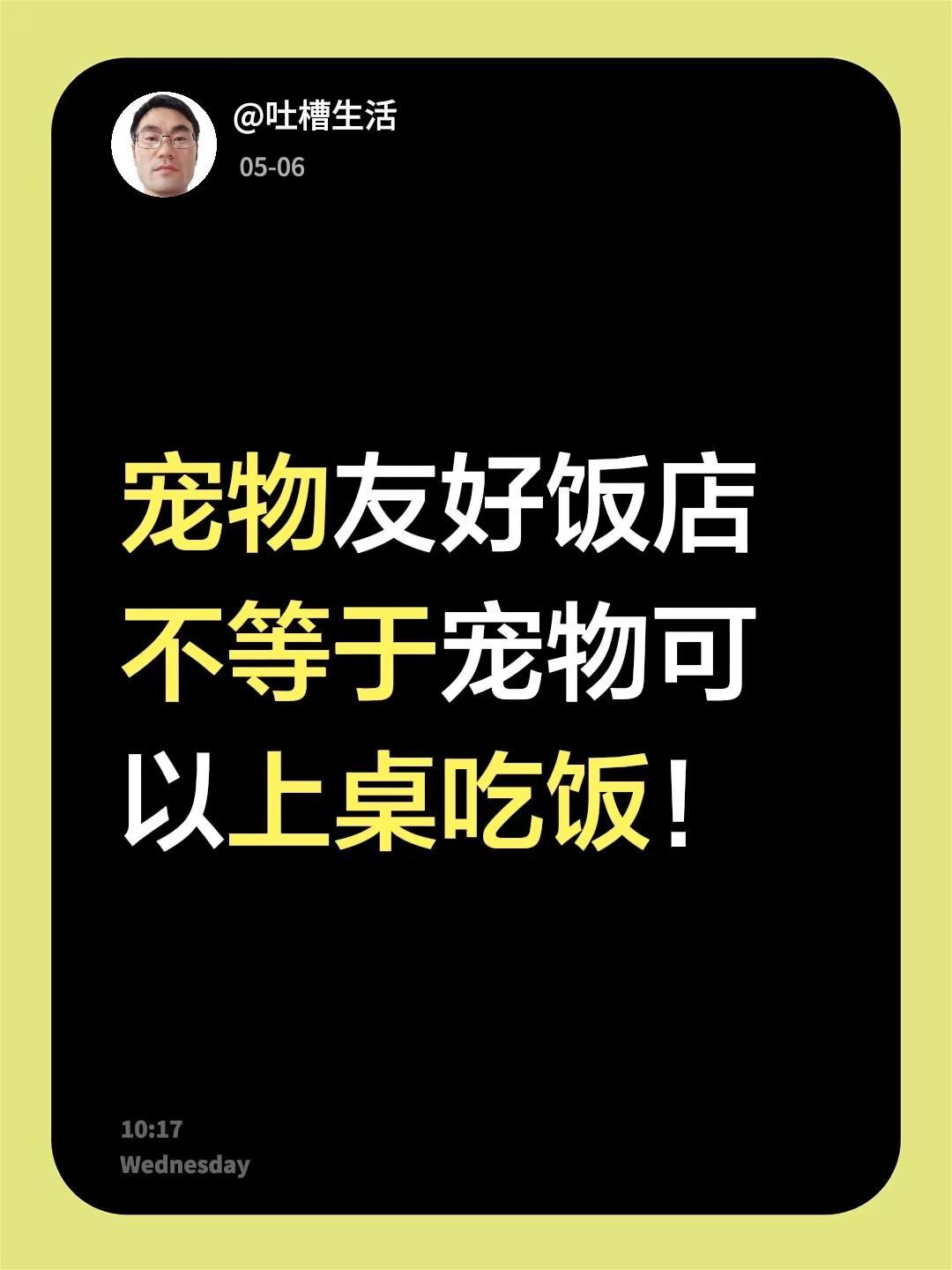 宠物友好饭店不等于宠物可以上桌吃饭！宠物餐厅 宠物友好门店 宠物友好计划 宠物友