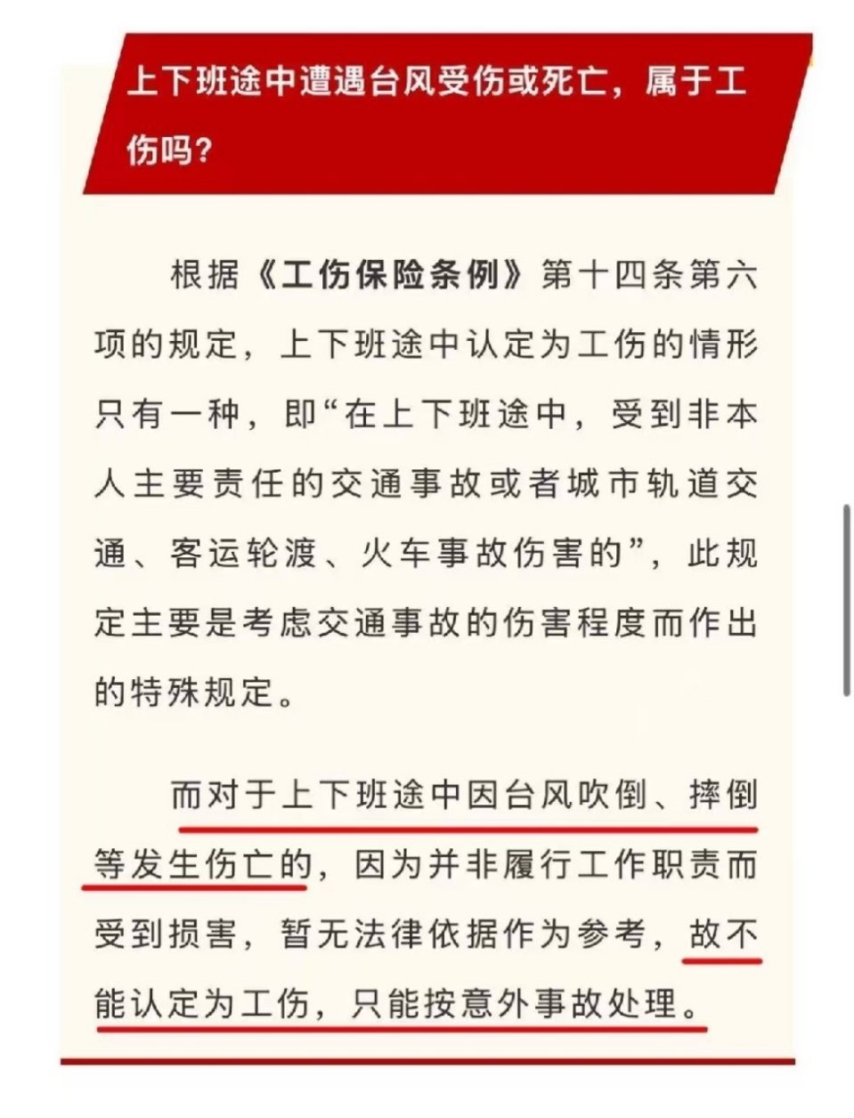 白海豚突然大拐弯 如果这几天台风暴雨，老板还坚持要你来公司，记得发这张图给你周围