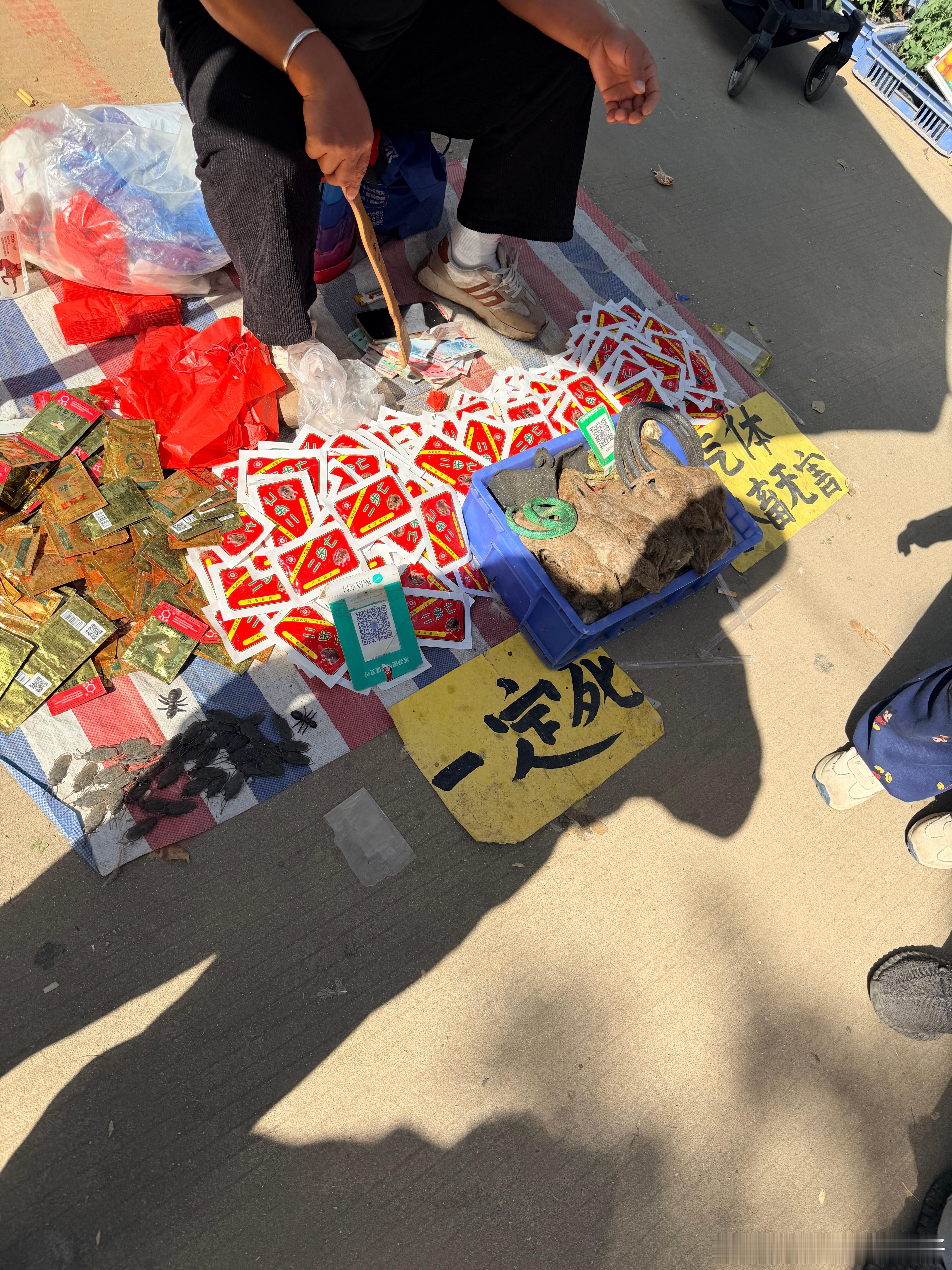 哥们，真特么权威！ 