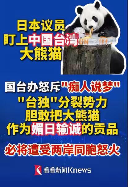 台当局如果想把大熊猫送给日本，我们有权要回来，到时候可以直接封锁台湾海峡，防止国