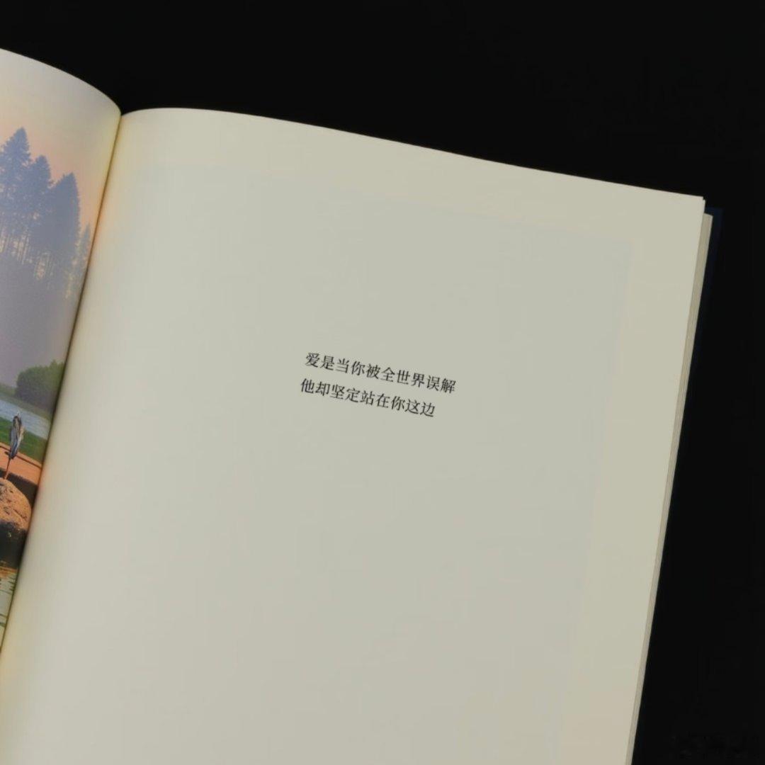 可能我从来没被爱过 