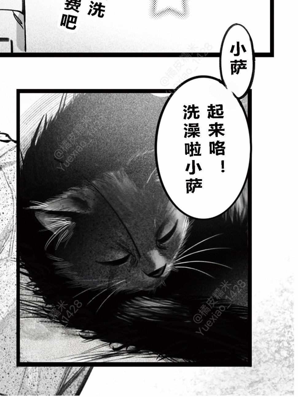 要小心有些小猫，洗着洗着就变了！！《这不是猫！〉个人觉得最有趣的部分...