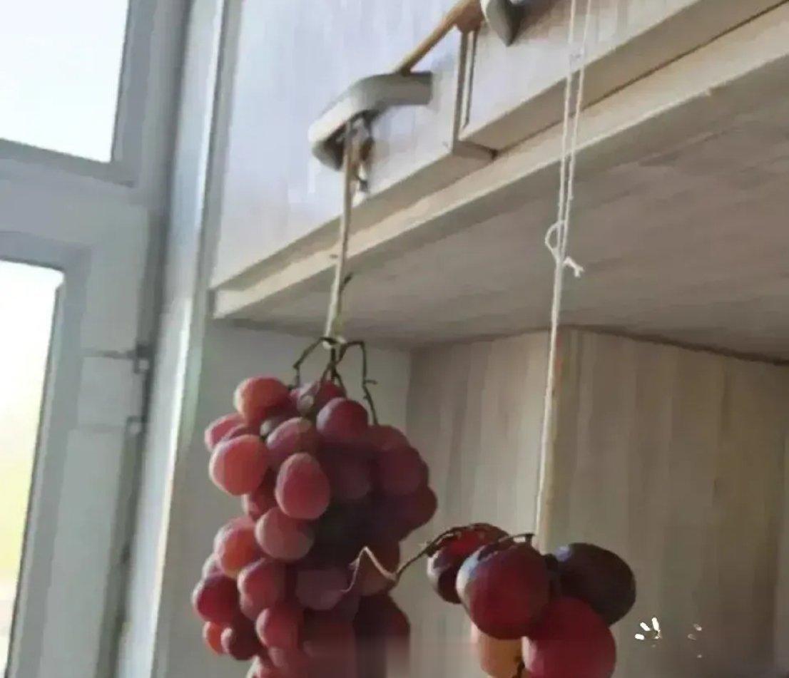 好聪明女子[赞] ​​​