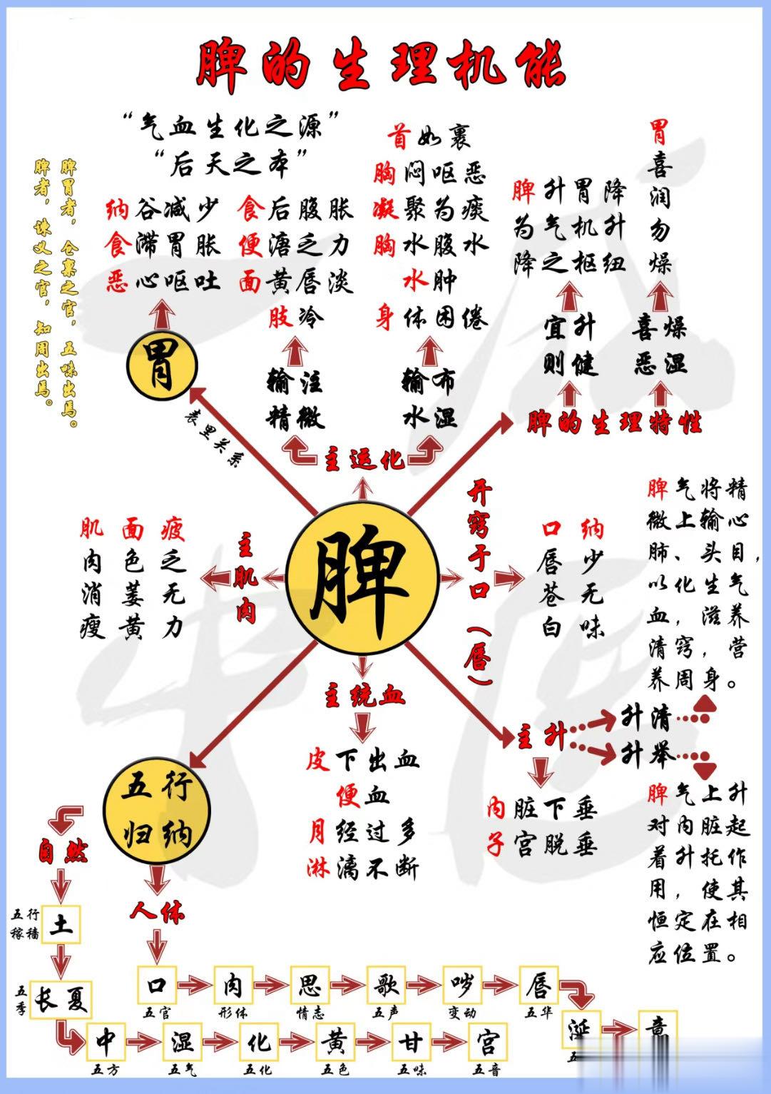脾的生理机能思维导图，五行归纳生理特性！不知道“脾”是干嘛的？不知道“脾”有什么