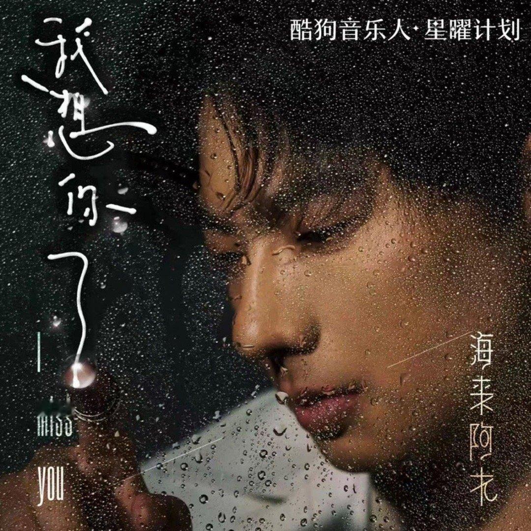 略有伤感更多的是想念海来阿木《我想你了》我想你了 