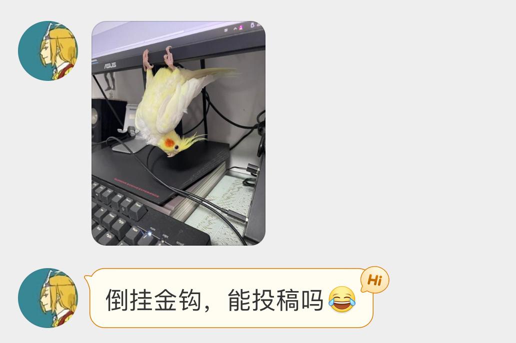 #宠物鸟投稿# 倒立的玄凤鹦鹉🦜它是会自娱自乐的！ ​​​