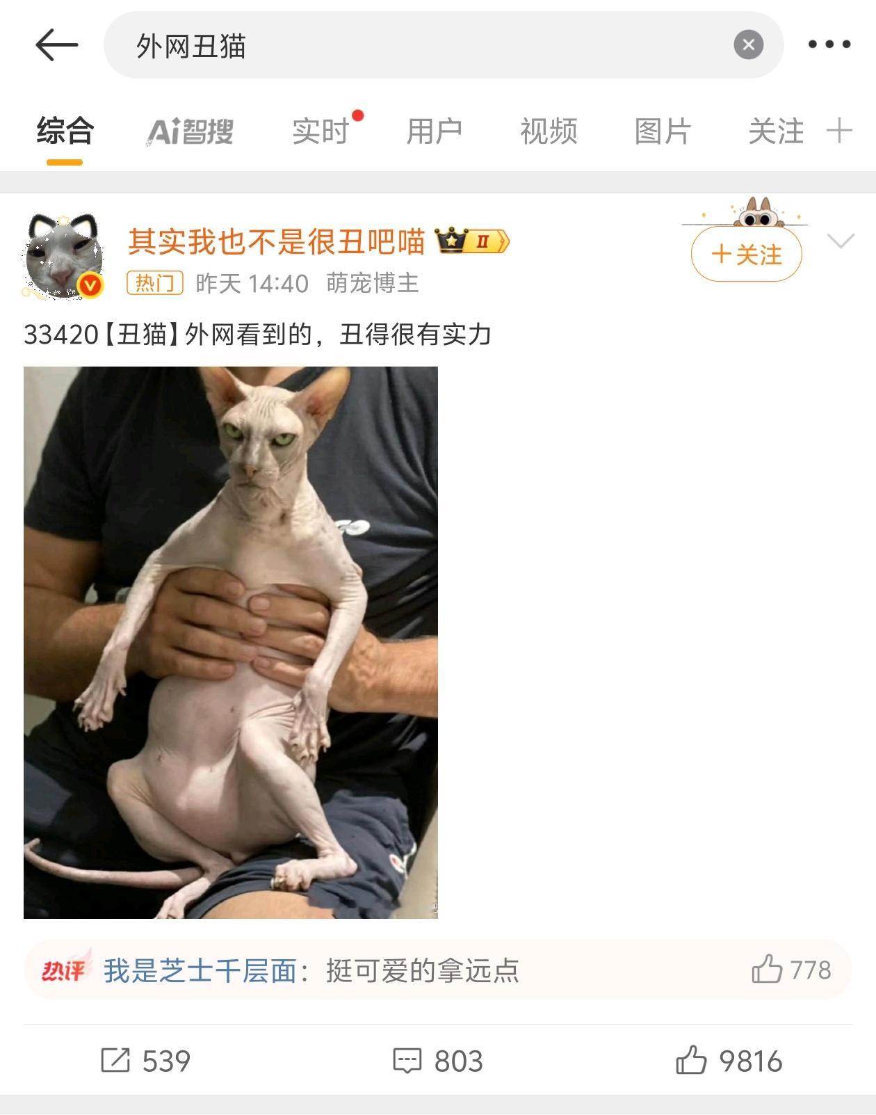 外网丑猫 这猫看上去战斗力很强……[允悲] ​​​