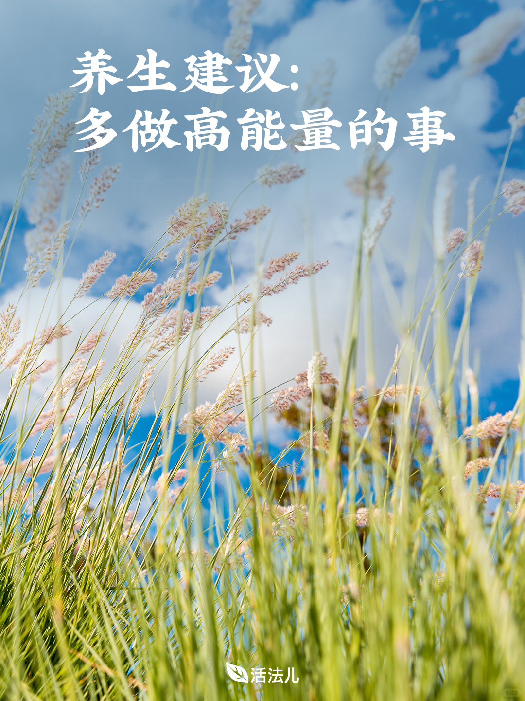 养生建议：多做高能量的事