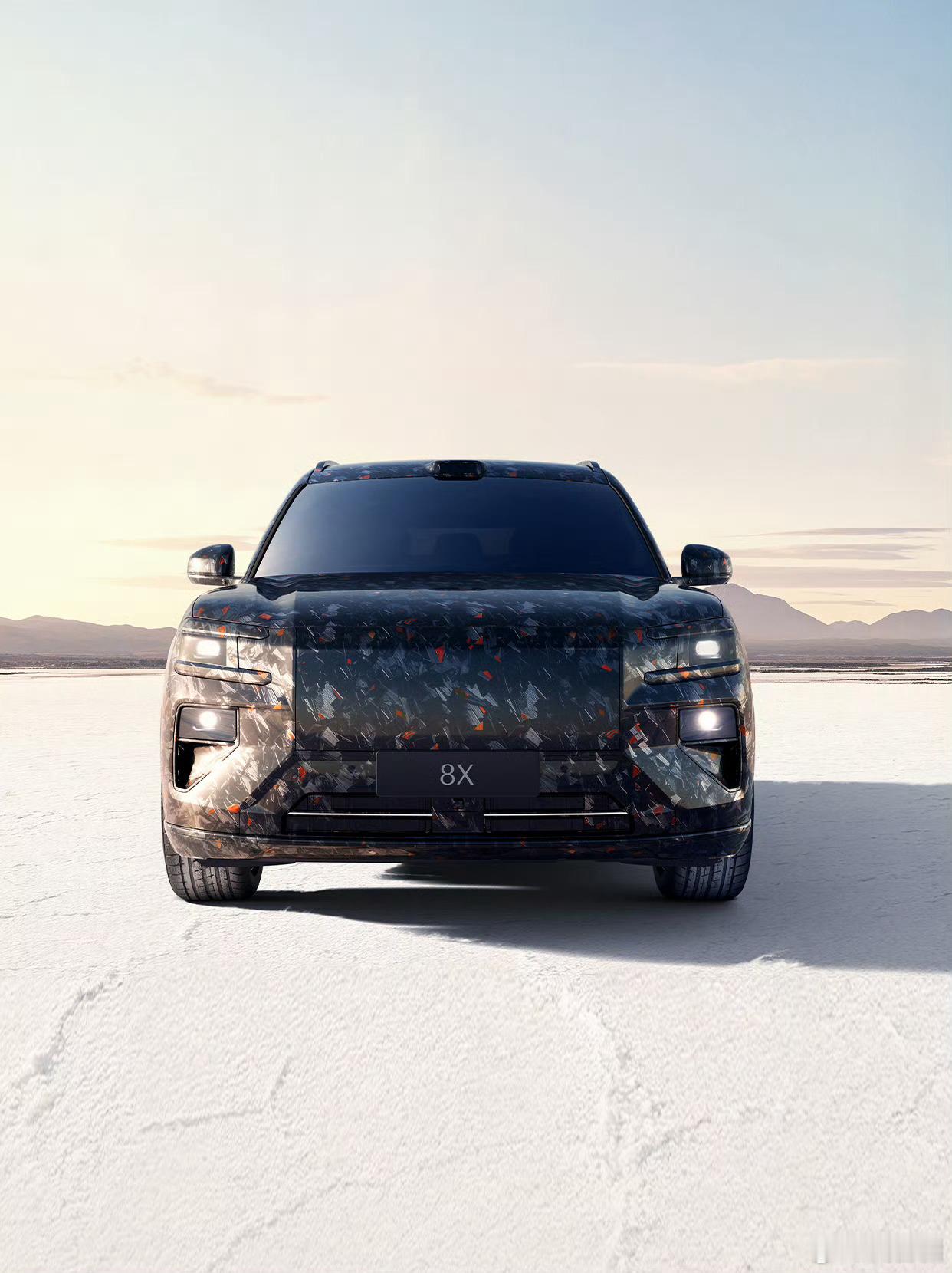 在9X形势一片大好的前提下，极氪8X这就来了，可以说是更小更年轻更运动的9X，就