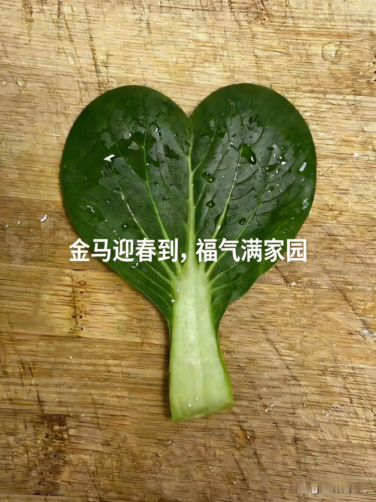 友友们！你们刷到最近超火的那片青菜叶了吗？今天我也来凑凑热闹。

特意挑出家里最