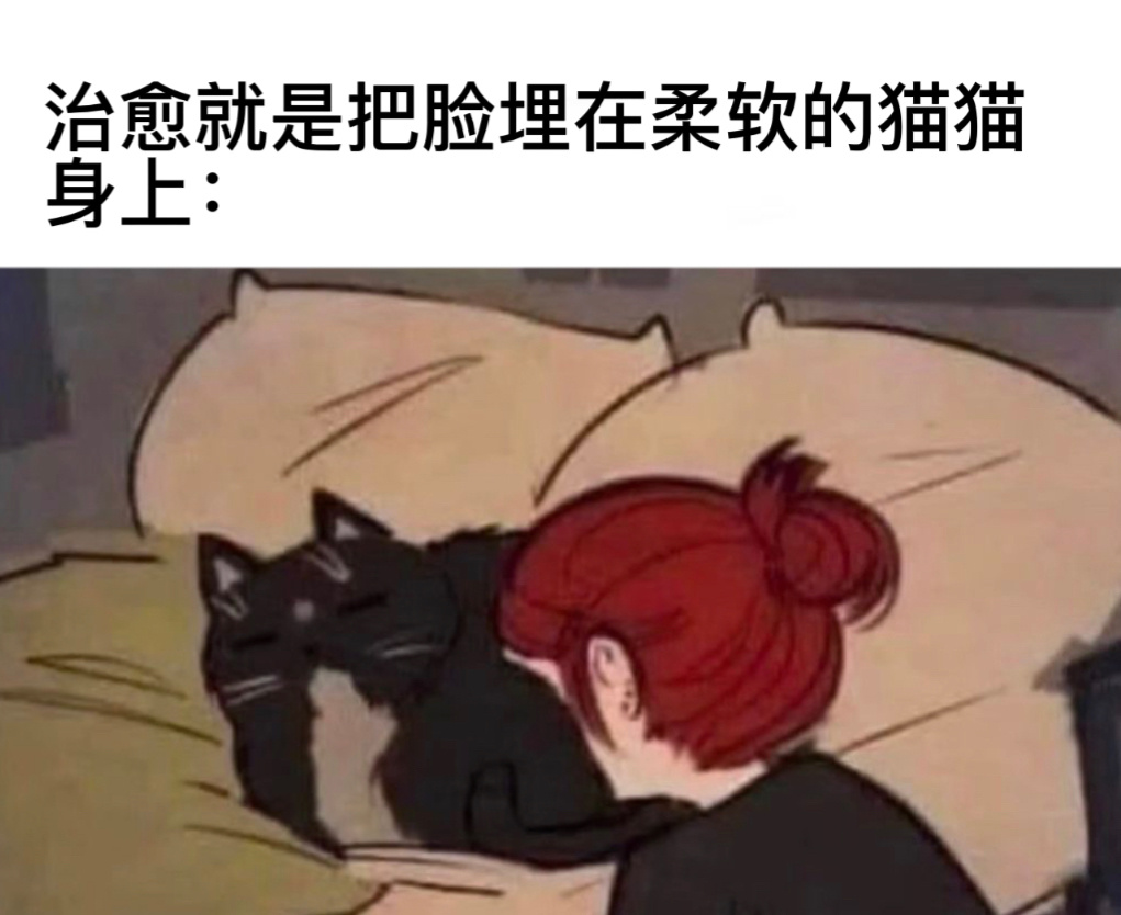 真有用#今日memes# //#新年快乐漫游指南# //#转发接龙开新年# ​​