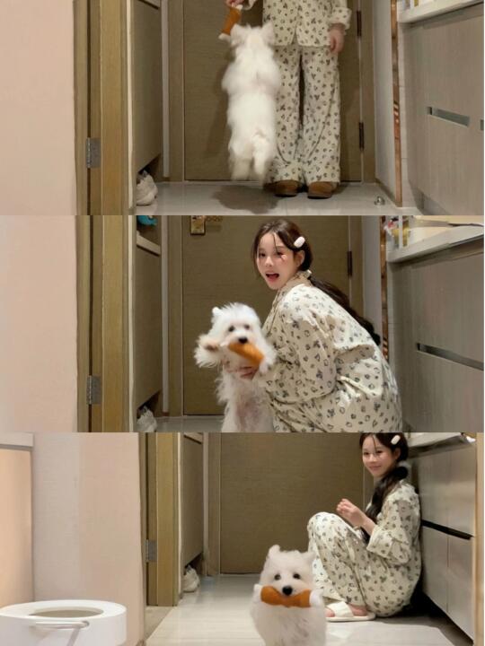 坏小狗 抢我的🍗跑啦.ᐟ.ᐟ