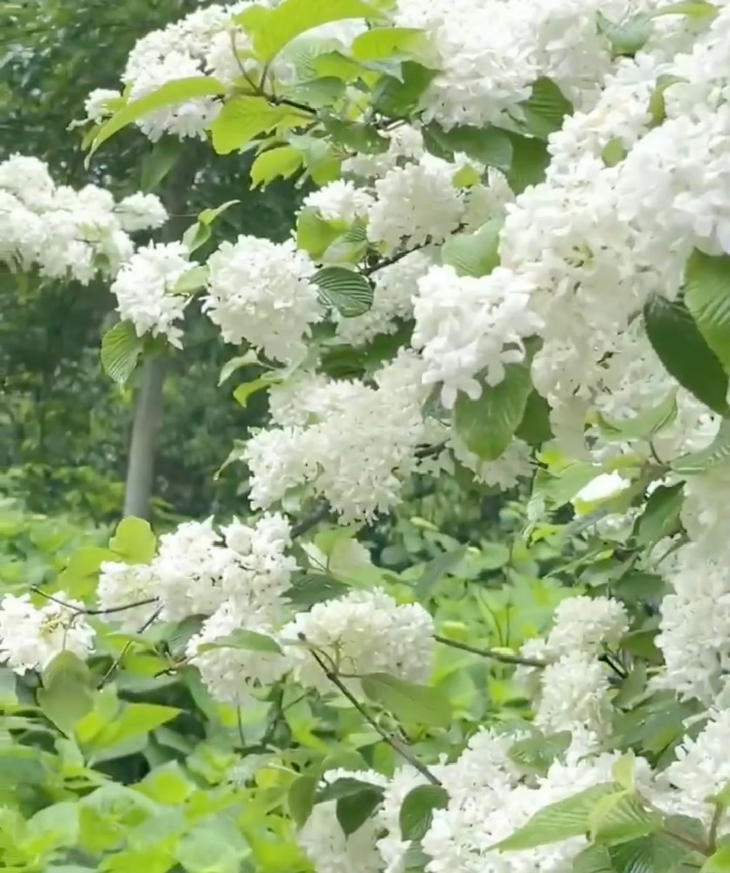 ☀️阳光信用 ☀️每日一善 做人，高在忍，贵在让，心在善，忍，不是傻，是容，也是