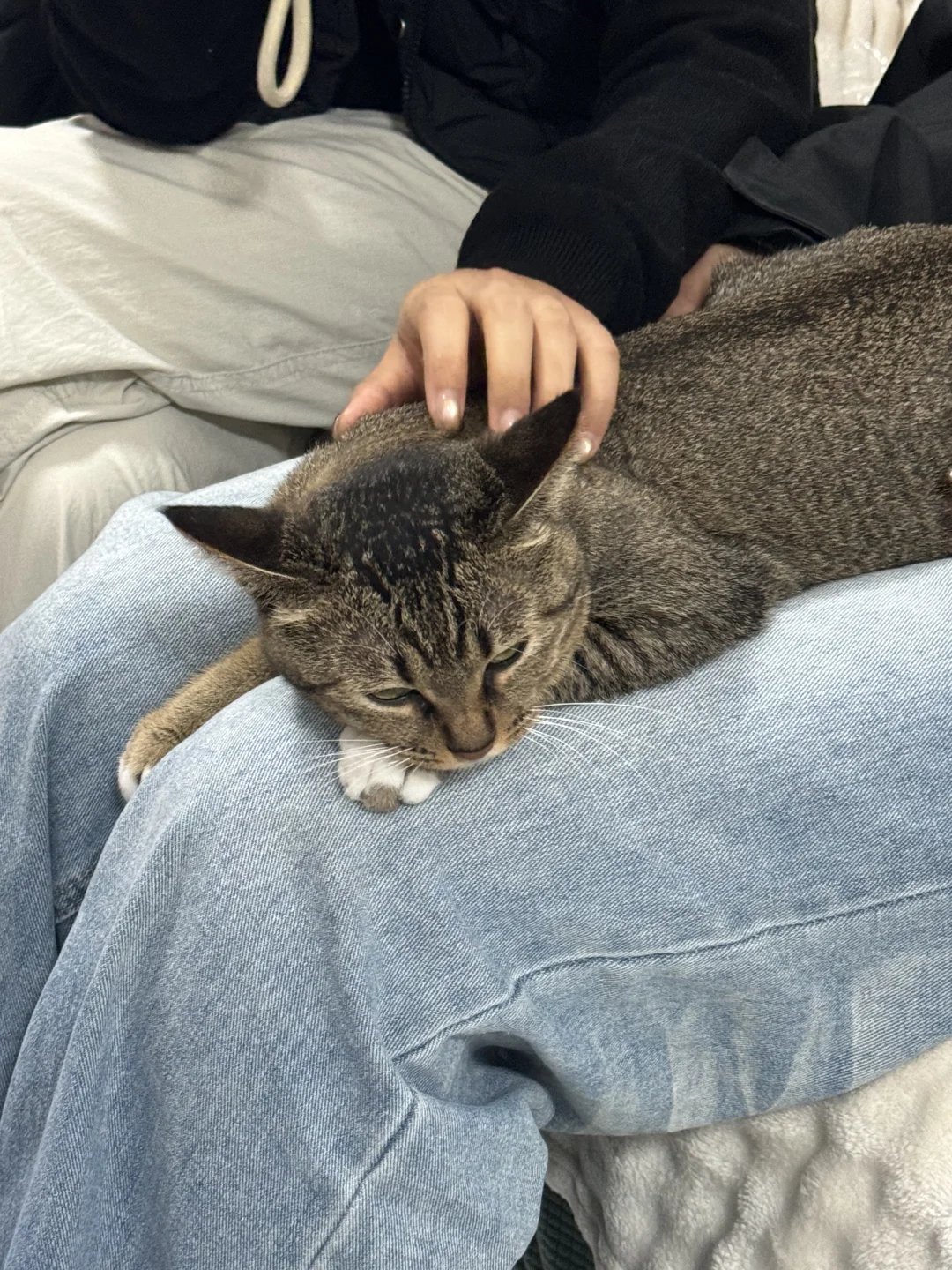 冷色调氛围感摄影～