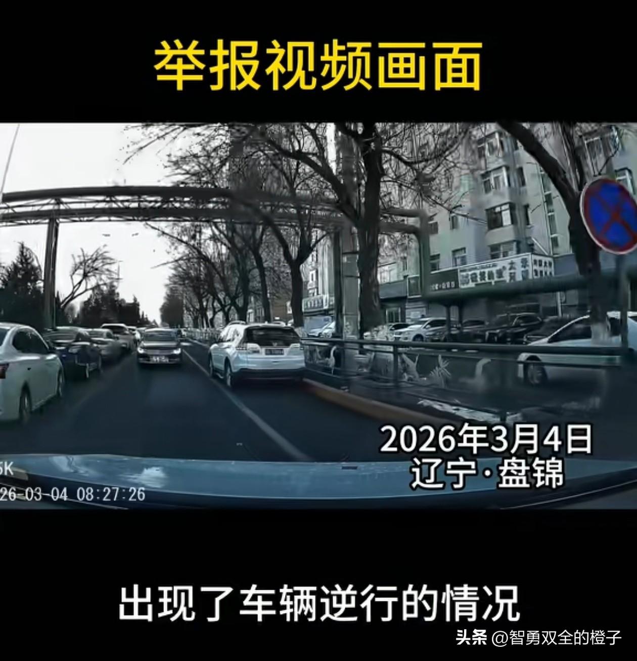 “全小区都这么走！”继深圳逆行女司机之后，辽宁盘锦又出现一位逆行的大姐，凭一己之