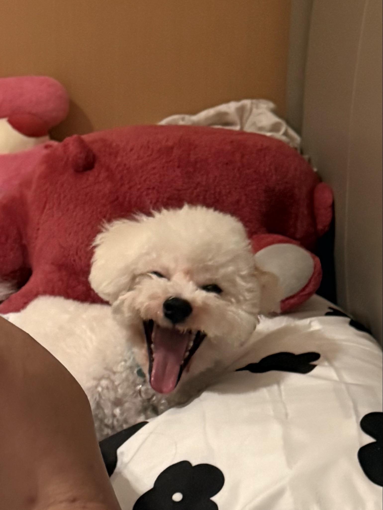 总会不自觉地一直想着你🥹