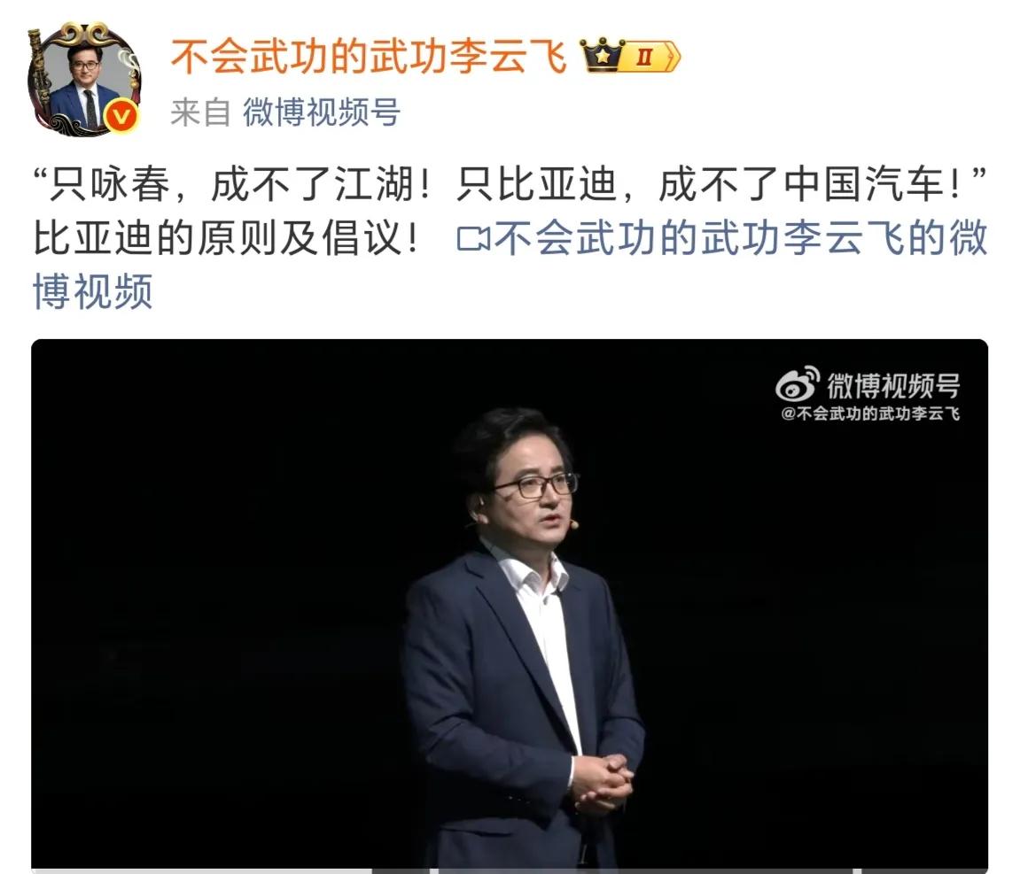 比亚迪代表不了中国汽车，就像咏春代表不了中国功夫一样，有人的地方就有江湖，有江湖