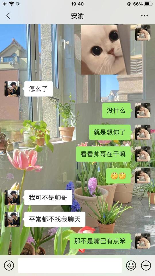 聊天很平淡，不放试试和crush极限拉扯