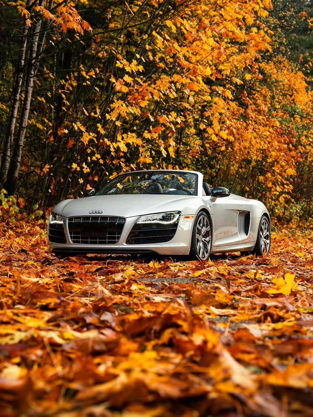 奥迪 R8 V10 Spyder ​​​🍁 ​​​