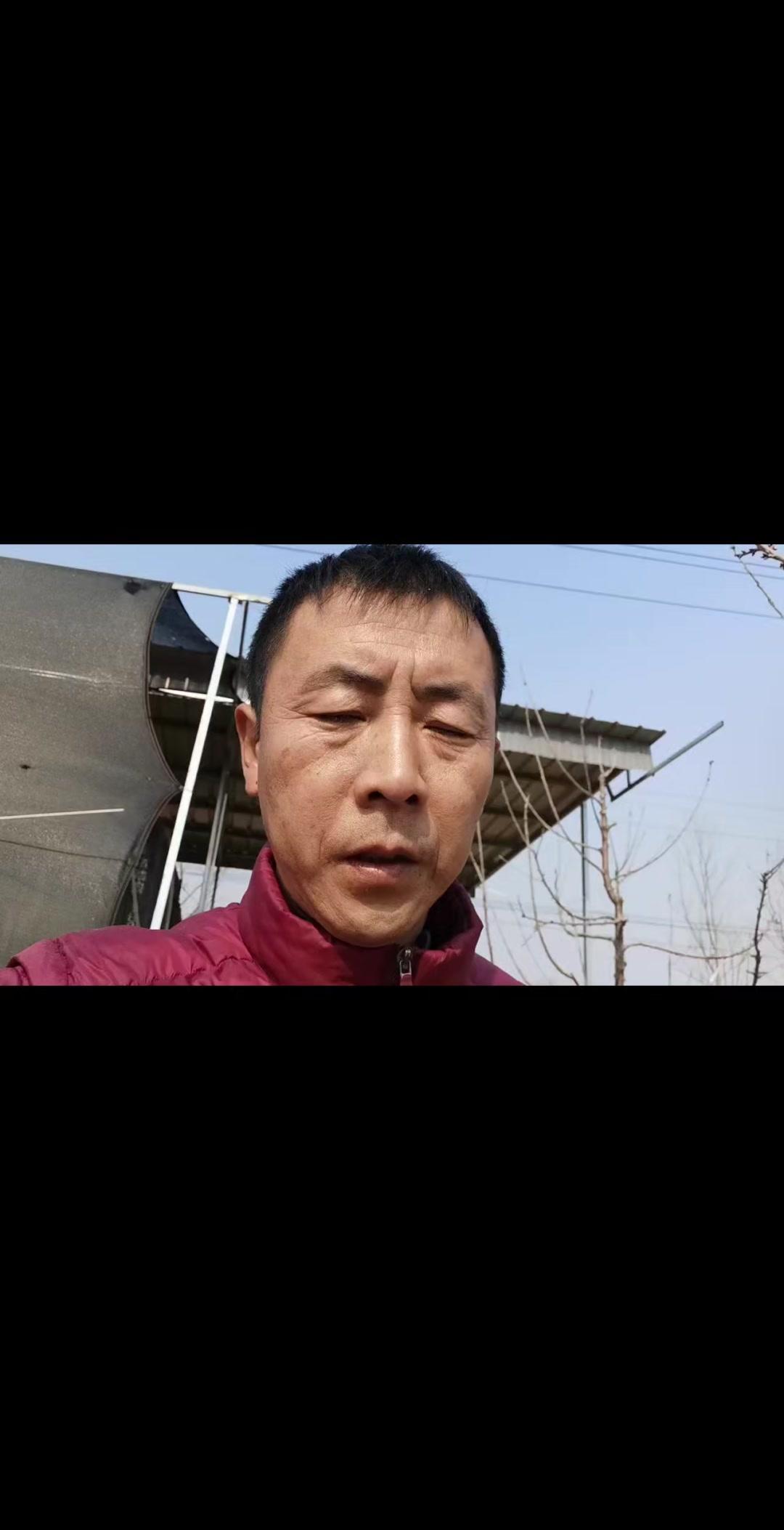 2月起进行冬季修剪和病虫害防治，持续至3月底。修剪后清理枯枝落叶杂草，进行果园灭