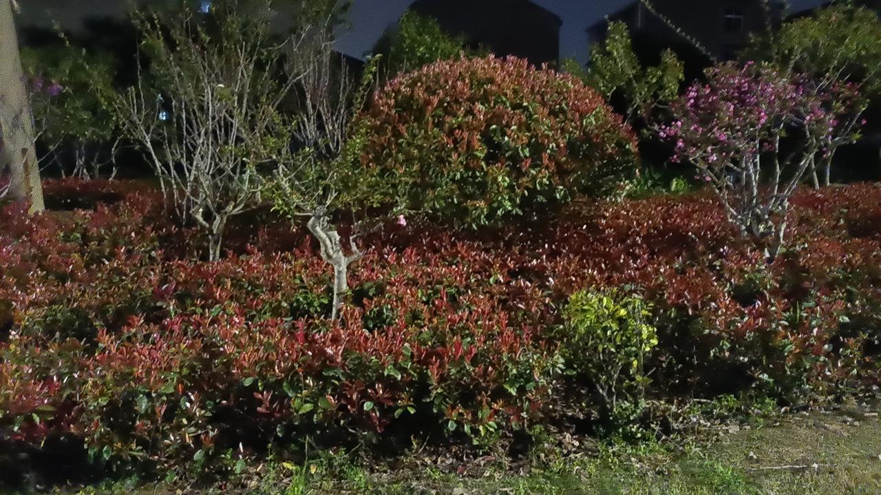 很多人终其一生都在寻找安全感，有人寄望于财富，有人依赖他人，却常常在得失起伏中感