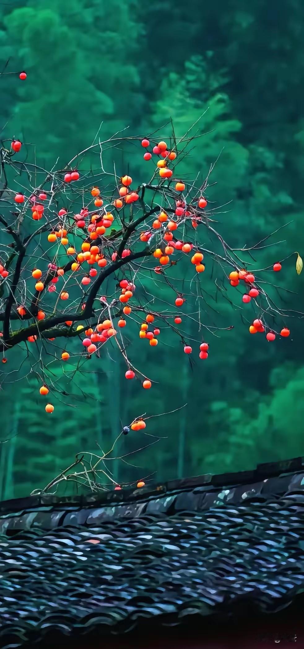 提醒大家，明天是个重要的日子：
明天，4月20日，是二十四节气之一——谷雨

今
