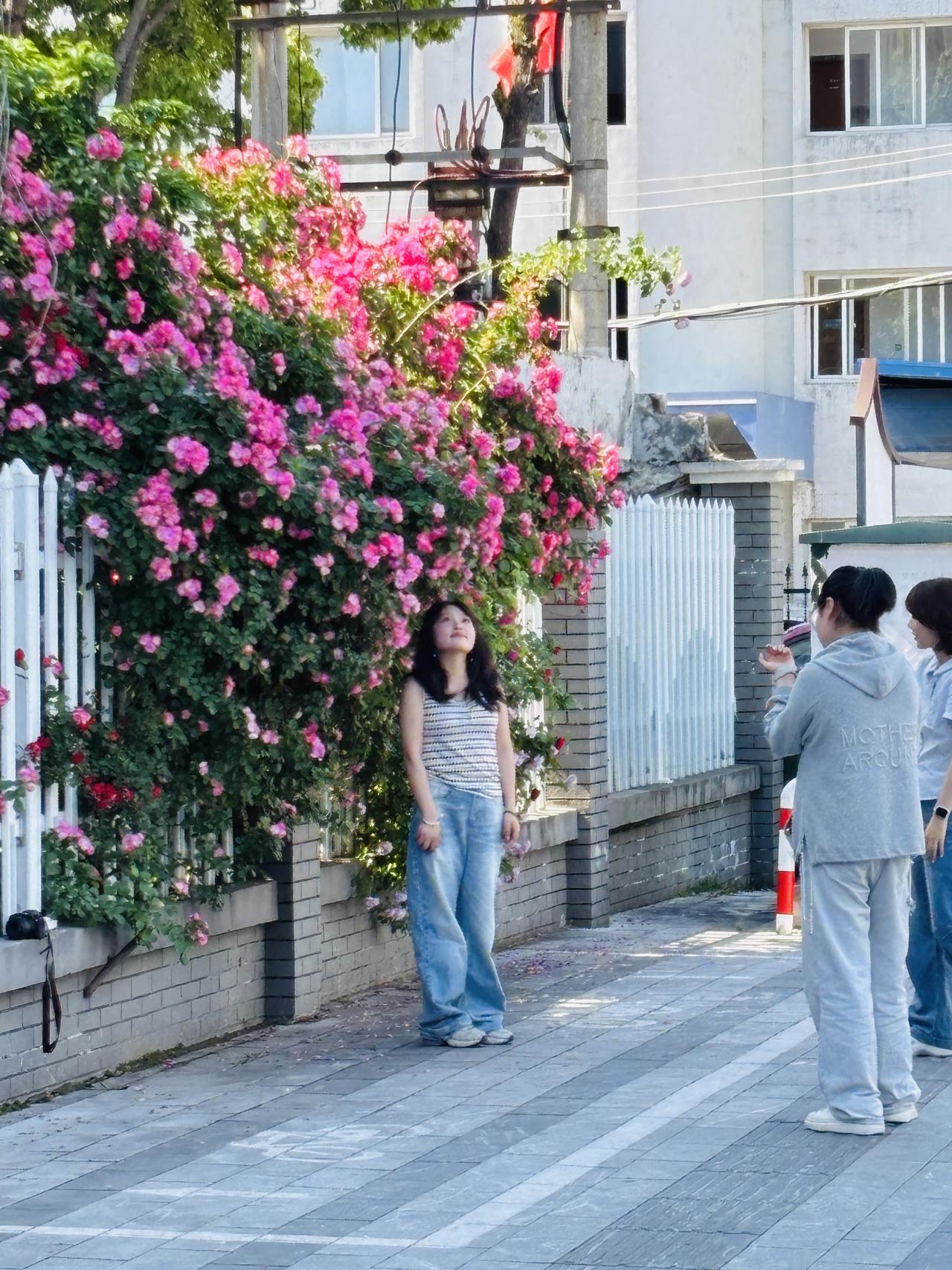 芜湖的街头，处处皆浪漫！❤️
芜湖街头是被浪漫浸润的诗卷。不必刻意寻踪，转角就撞