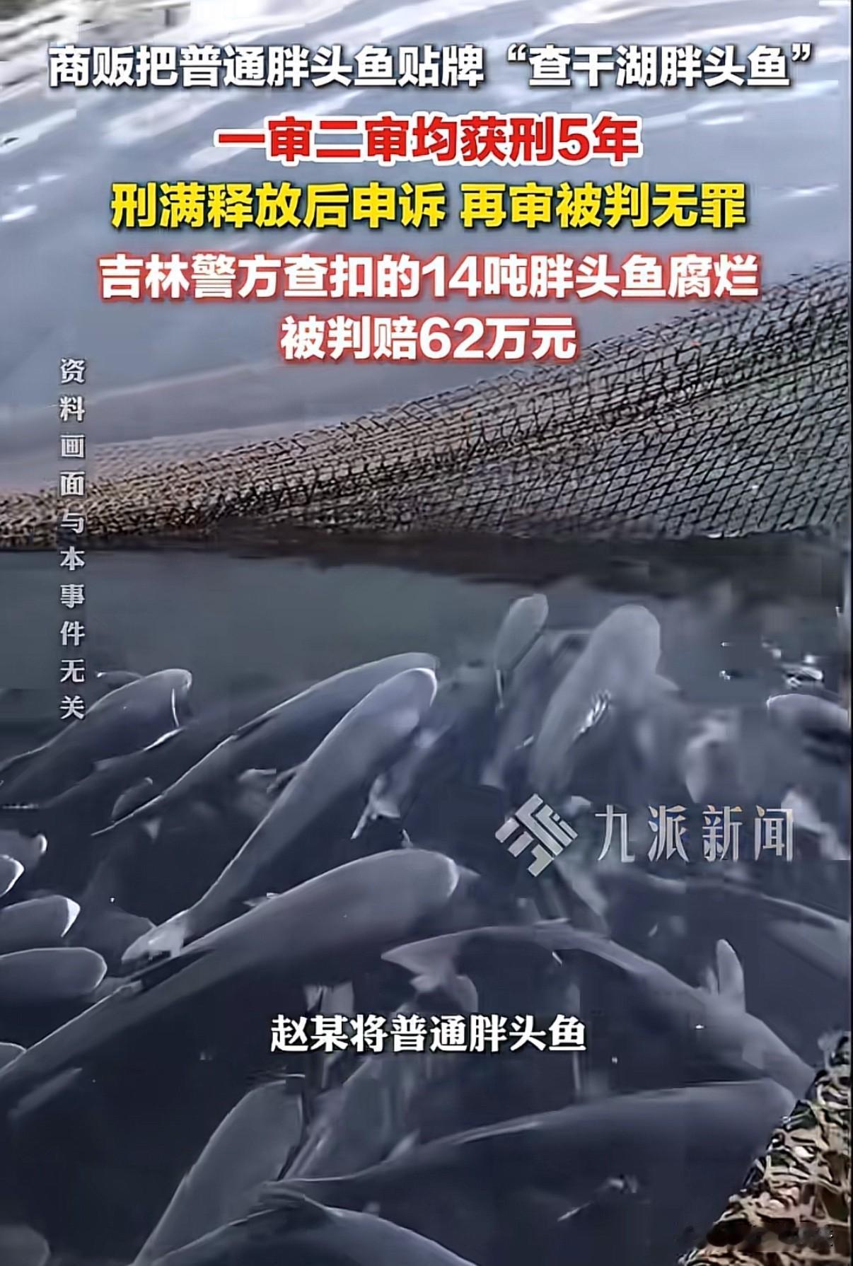 吉林，一男子从市场里买了14吨普通胖头鱼，而后贴牌成“查干湖胖头鱼”进行销售，结