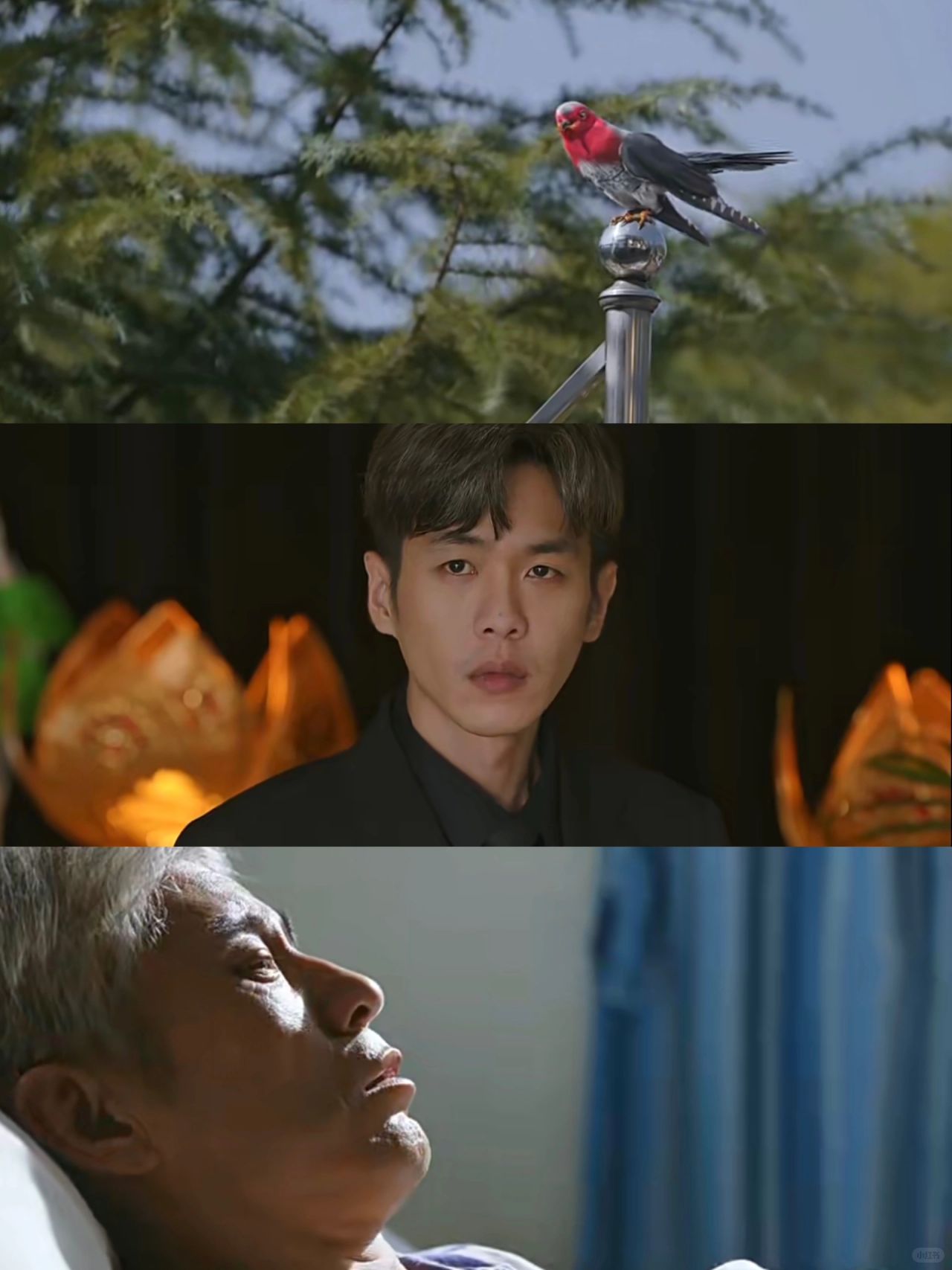 ‼️教育的意义，我算是看出来了‼️