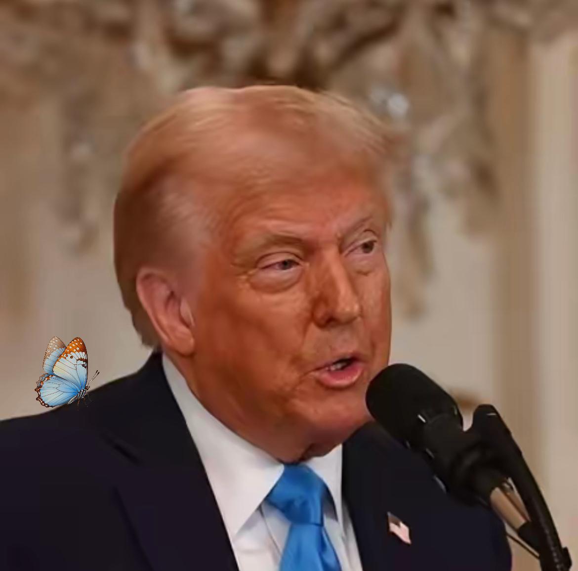 就在今天，

荷兰当局正式宣布了！

10月31日，荷兰当局宣布，受到美国施压，