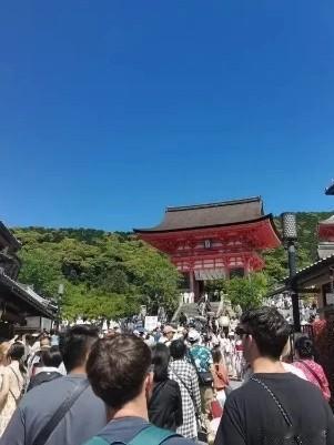 这话，我们需要从另一个角度去理解：还有些什么人，在冒中国人民之大不韪，非要去日本