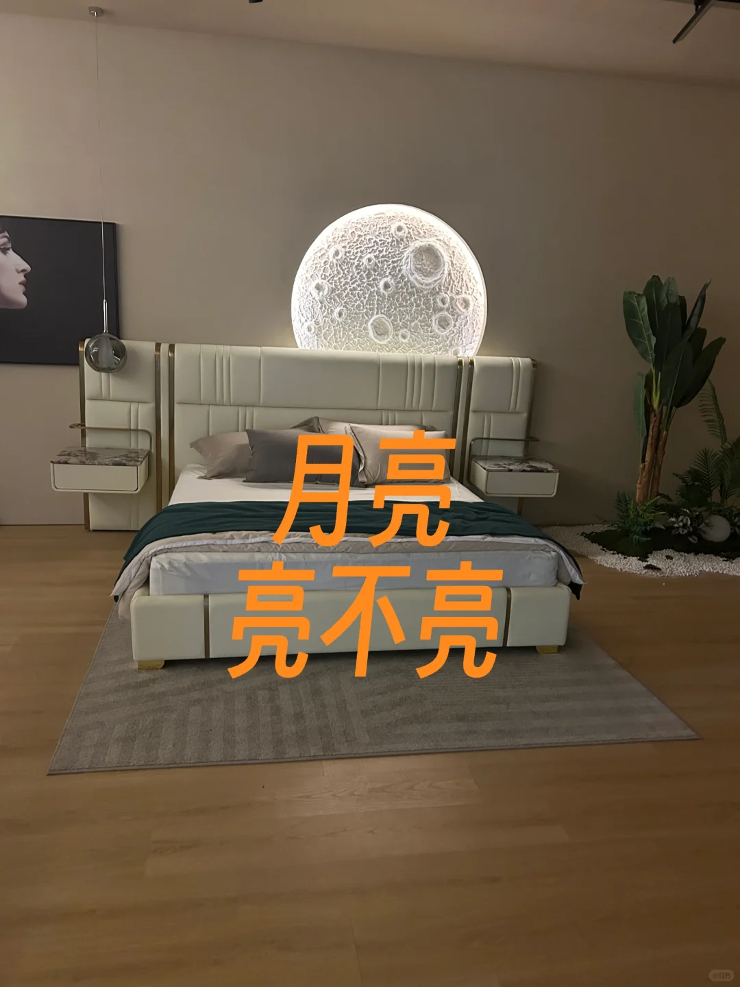 我卖的不家具是月球🌙