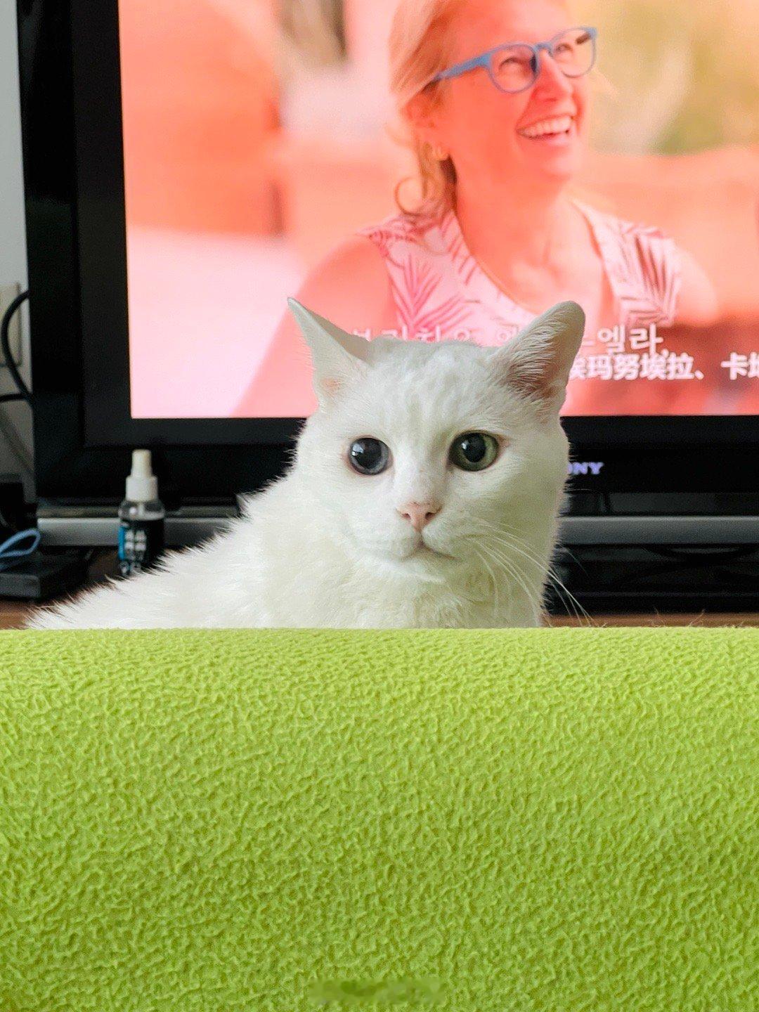 寶寶帥氣如奶昔～ ​​​