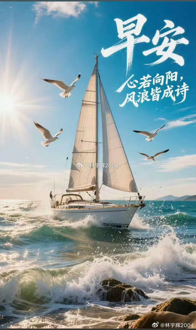 今天周四，大家早上好！全体集合了～～～起床的赶紧动起来，免费点赞+评论666安排