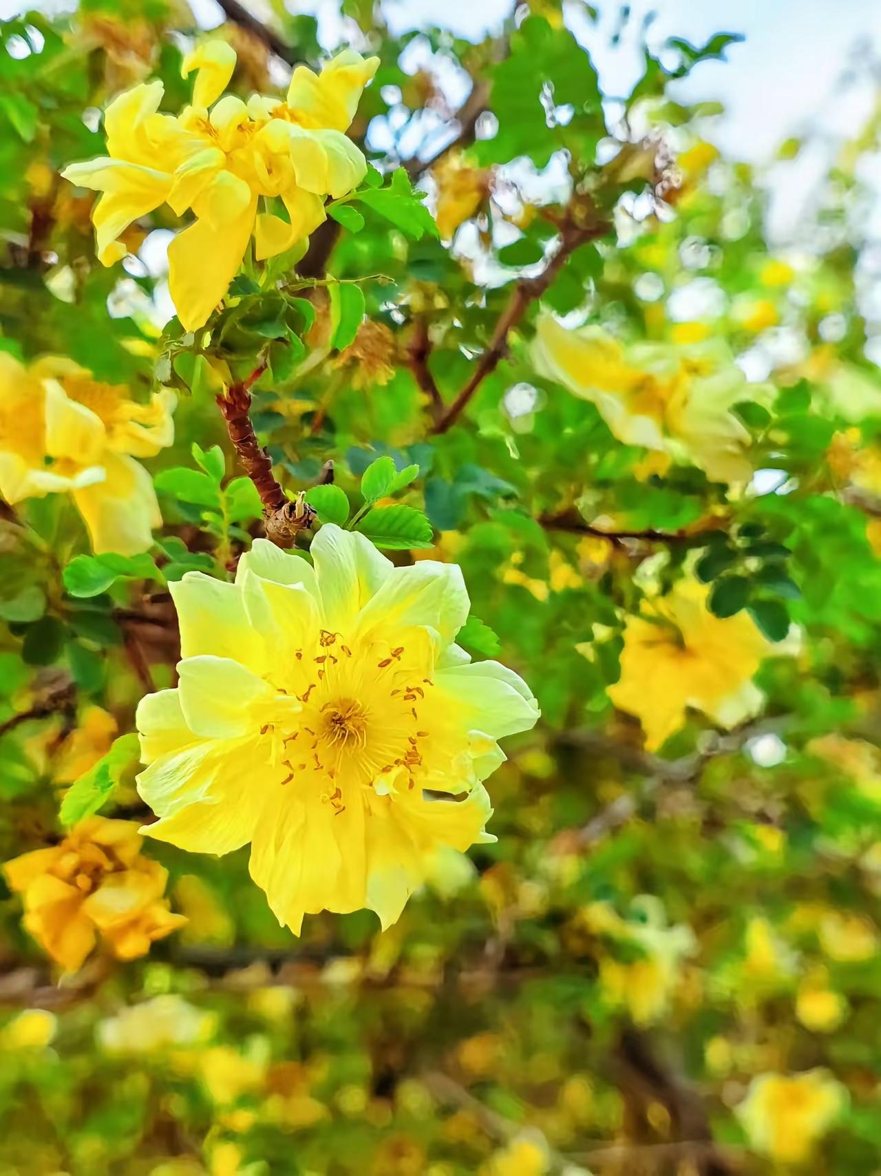 老年人养出好身体的好习惯
 
 
1. 饮食：清淡软和、吃七分饱，不贪嘴不糊弄