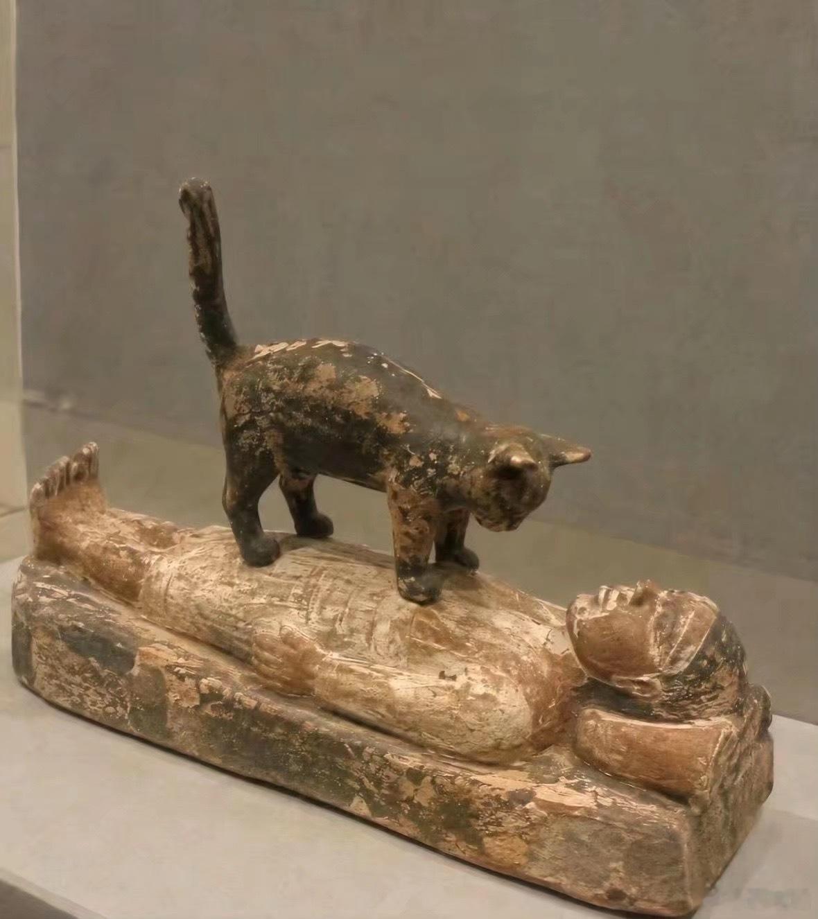 猫在四千年前就在妨碍人类睡觉….. ​​​
