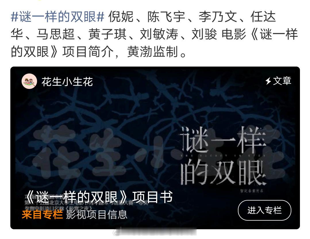 倪妮、陈飞宇《谜一样的双眼》故事梗概和人物小传。黄渤监制，李乃文、任达华、刘敏涛