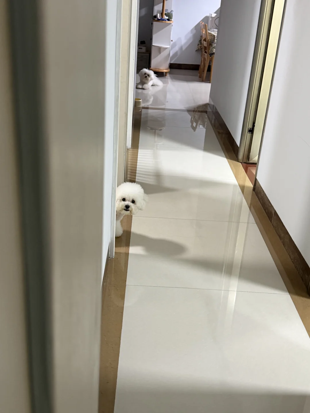 暗中观察
