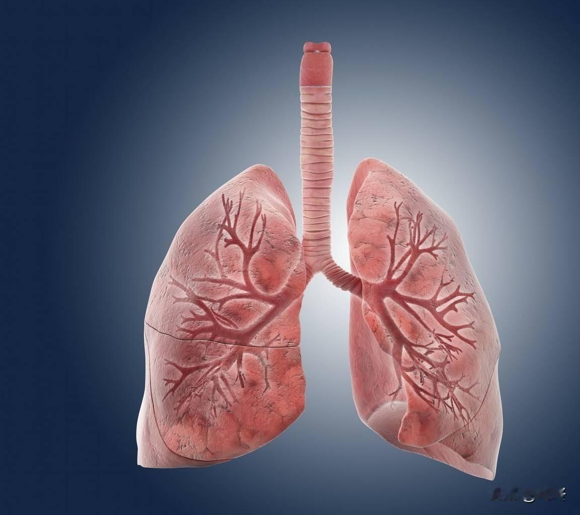 这四个症状反复出现？别硬扛！四个部位建议定期检查，早筛早安心！
咱平时身体有点小