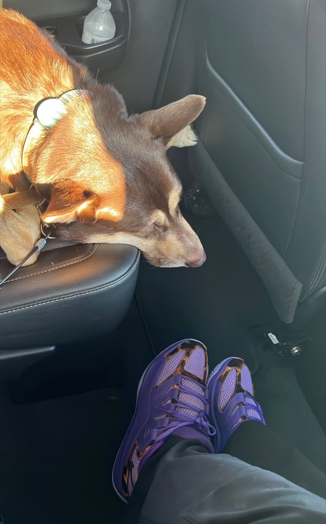 切特女友晒照，近期被拍到主场打完坐在切特车的副驾，今天又晒图一这张，可以说实锤啦