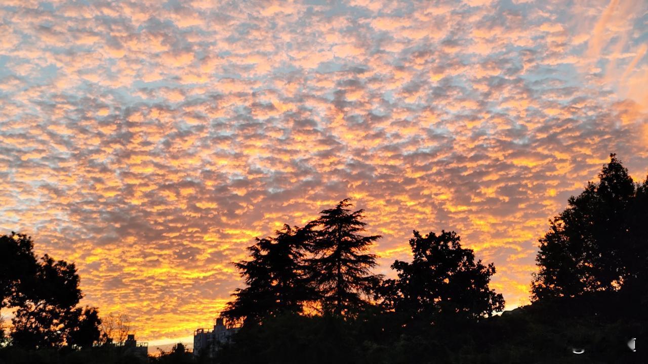 晒图笔记大赛傍晚夕阳红霞飞