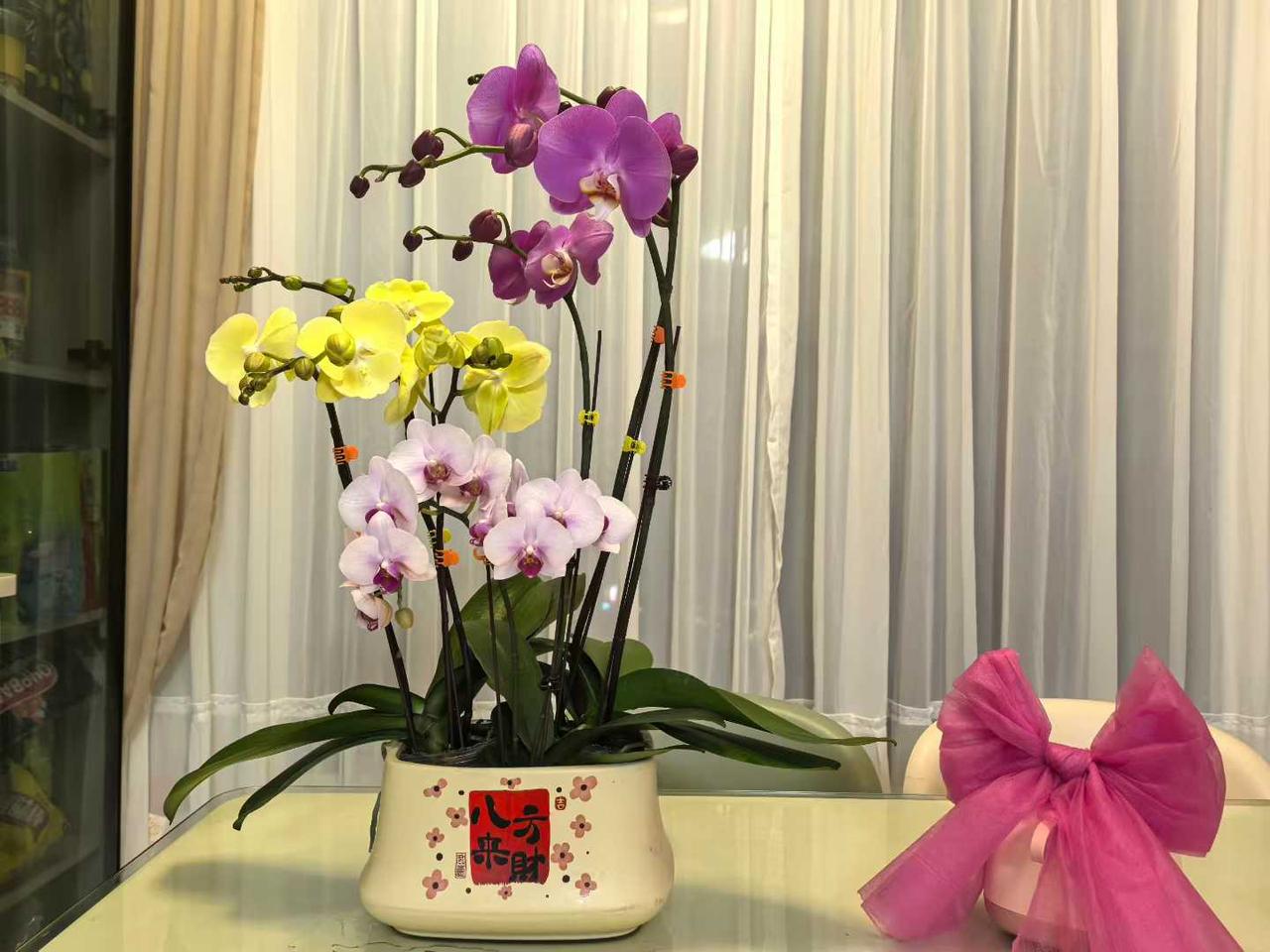 案头株兰，闲时静坐观之，心满安然。
兰叶疏朗挺拔，不蔓不枝，携着清瘦的风骨，几朵