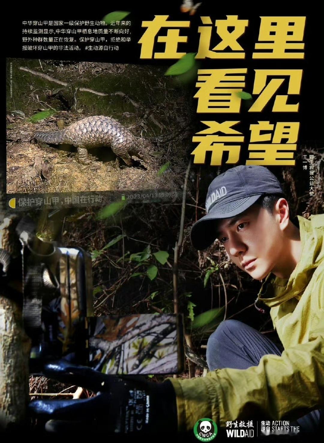 德艺双馨小戏骨，才华横溢追风者。 