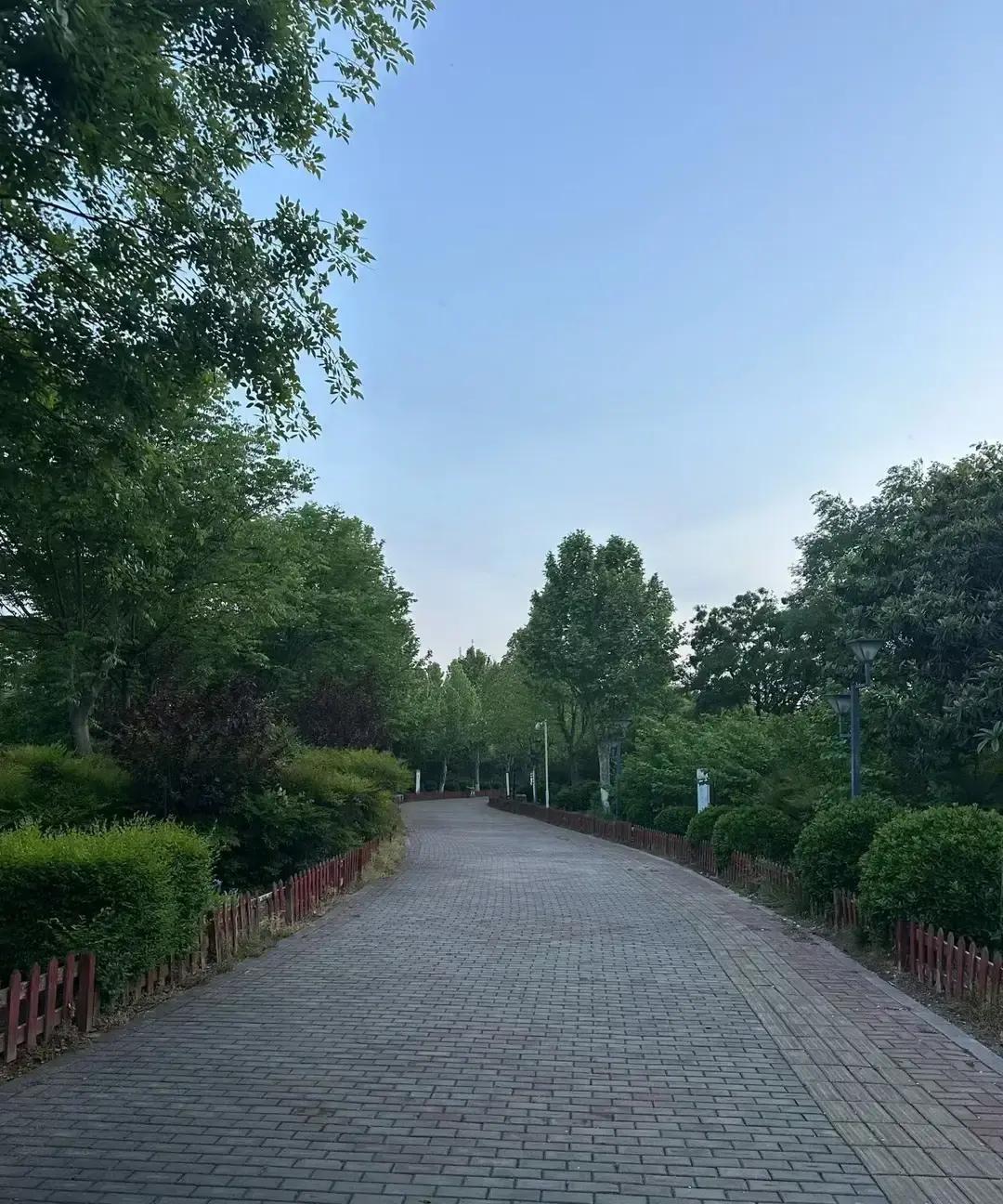 我表弟93年，至今没牵过女生手。
他下班就回出租屋，周末窝着打游戏。
公司团建永