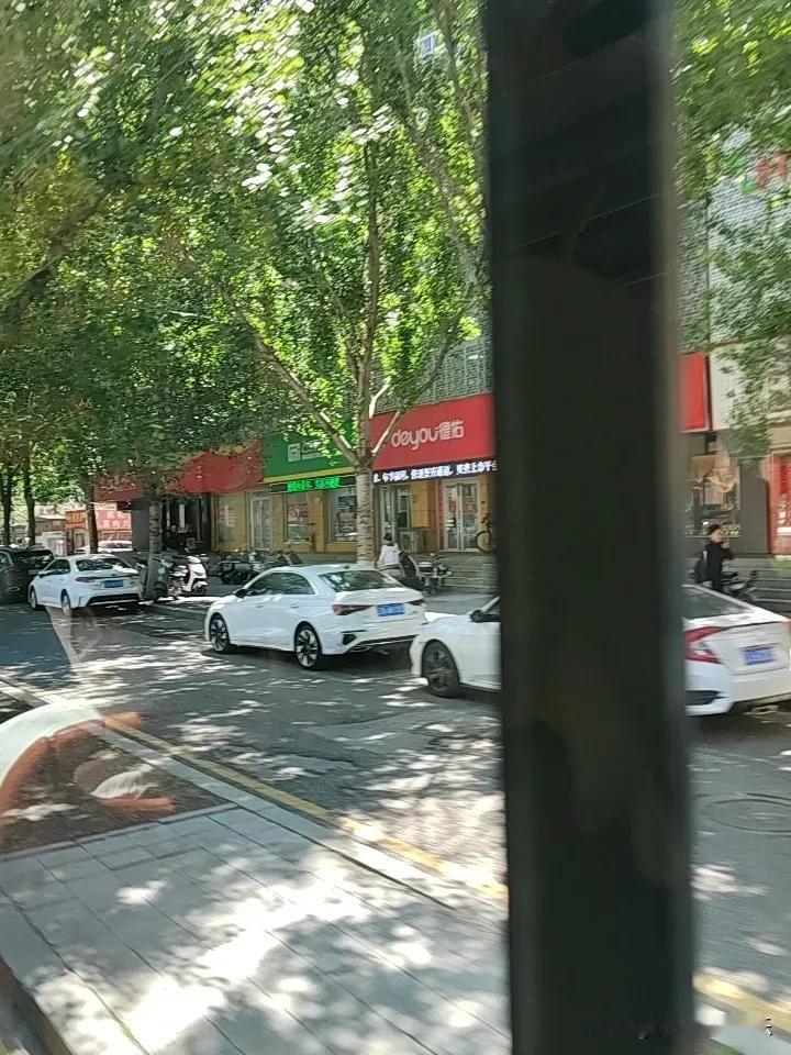 春日美景大赏