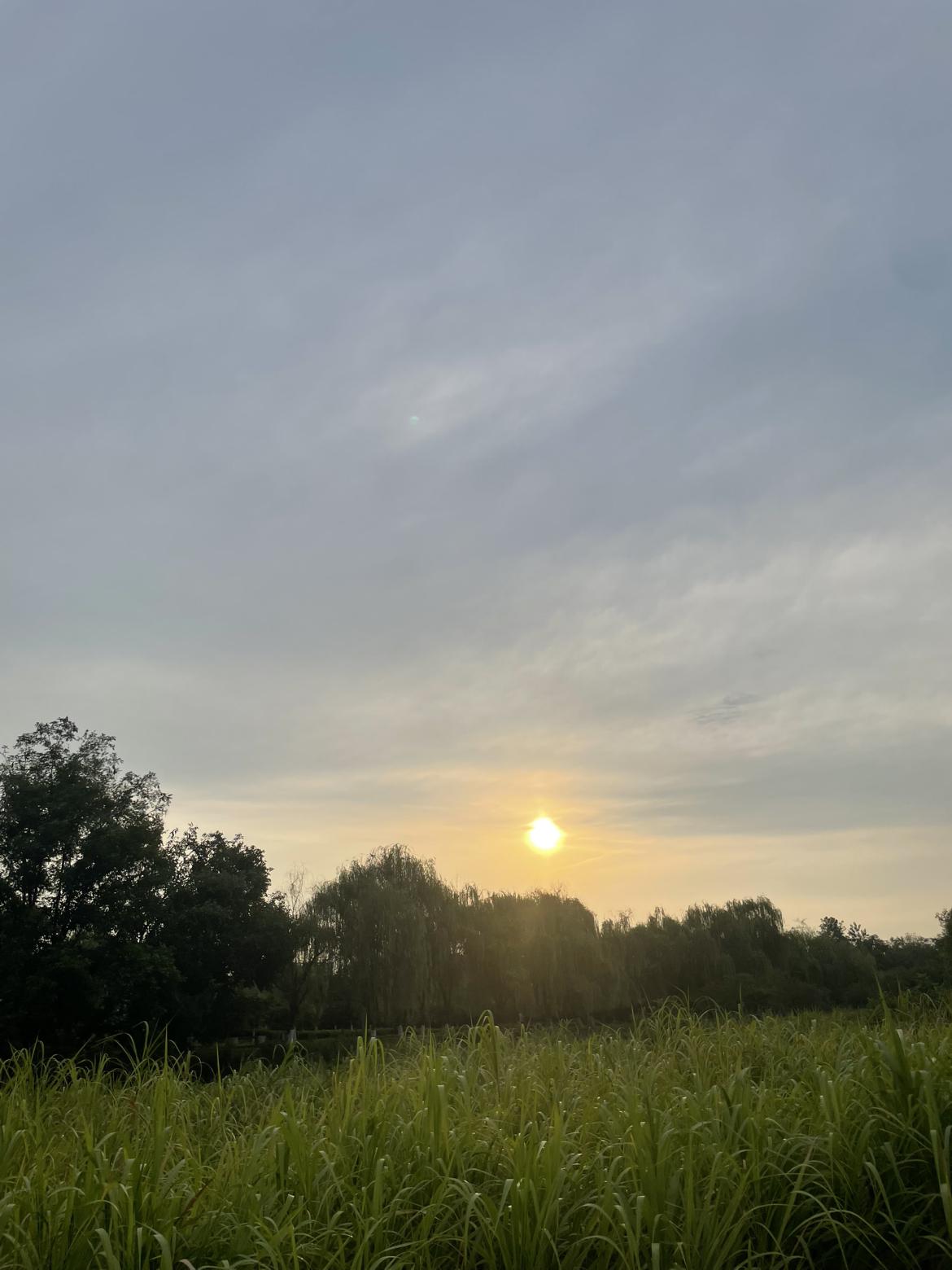 我的今日状态：😁轻松愉快
我这里的天气：☀️晴天