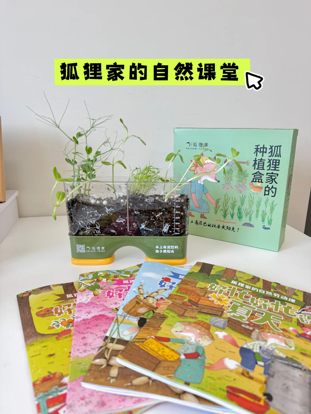 更新啦｜暑假可以在家上的自然劳动课