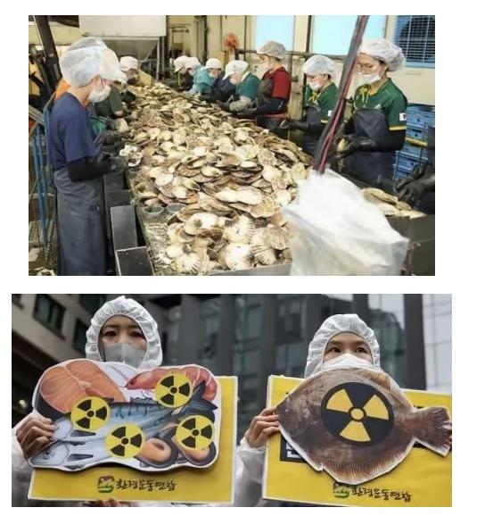 日本排放核水后，奇怪的事发生了：刚开始各国对海鲜避之不及，如今3年过去，核水已污